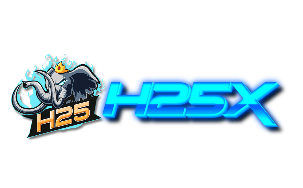h25x.info